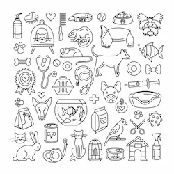 ACCESORIOS PARA ANIMALES